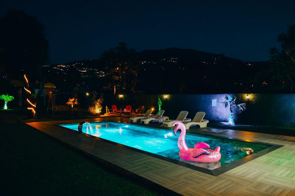 listing card gallery