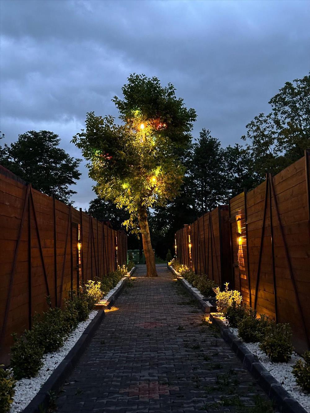 listing card gallery